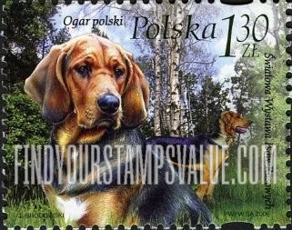FindYourStampsValue: Dogs: Ogar polski (Polish bloodhound)
