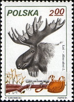 FindYourStampsValue: Moose, Rifle and Pouch