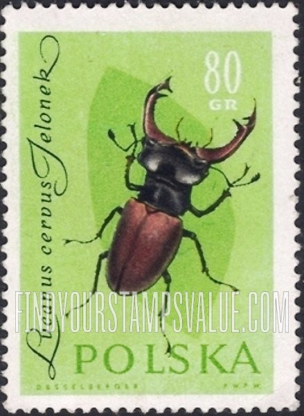 FindYourStampsValue: Insects: Stag-horned beetle