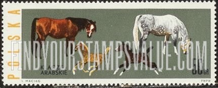 FindYourStampsValue: Horses: Arab mares and foals, horizontal