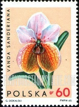 FindYourStampsValue: Orchids: Vanda sanderiana