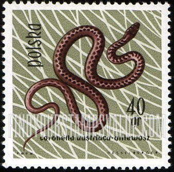 FindYourStampsValue: Smooth snake