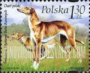 FindYourStampsValue: Dogs: Chart polski (Polish greyhound)