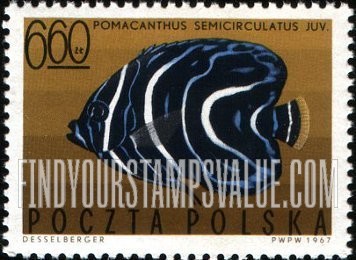 FindYourStampsValue: Tropical fish: Blue angelfish