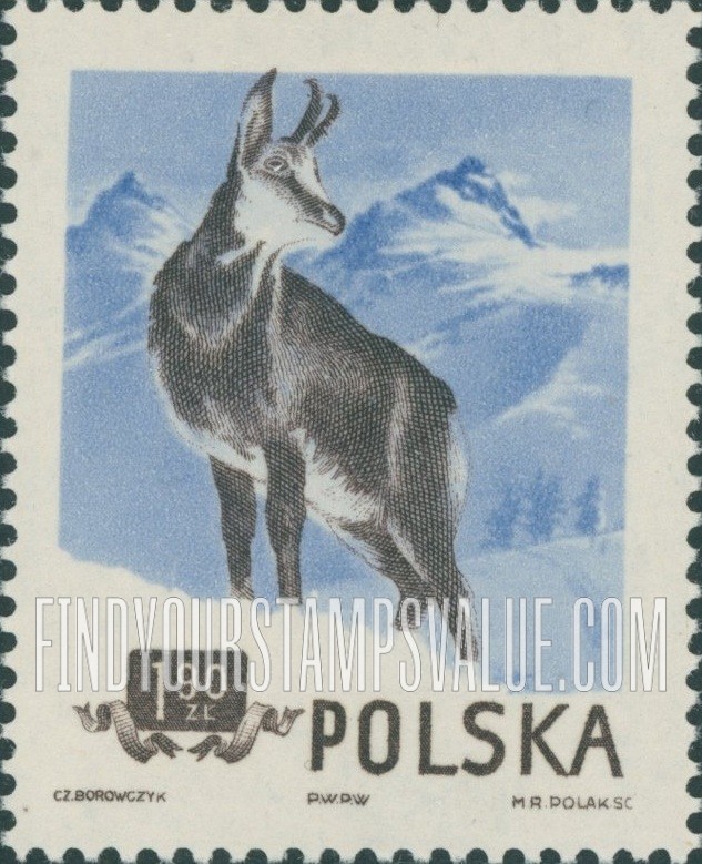 FindYourStampsValue: Chamois