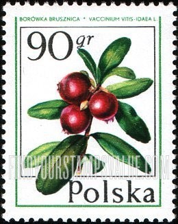 FindYourStampsValue: Forest Fruits: Cranberry