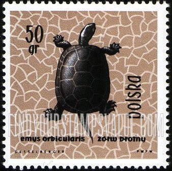 FindYourStampsValue: European pond turtle