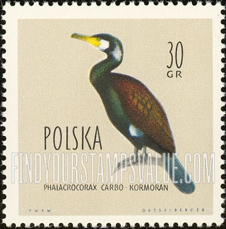 FindYourStampsValue: Birds: Great cormorant