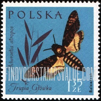 FindYourStampsValue: Insects: Death’s-head moth