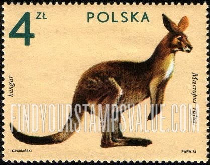 FindYourStampsValue: Zoo Animals: Kangaroo