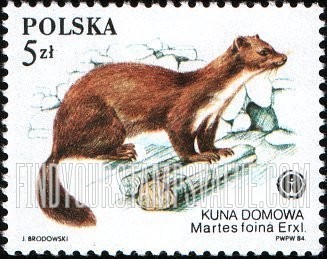 FindYourStampsValue: Protected Animals: Martes foina