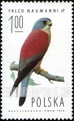 FindYourStampsValue: Lesser kestrel, male