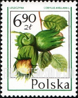 FindYourStampsValue: Forest Fruits: Hazelnut