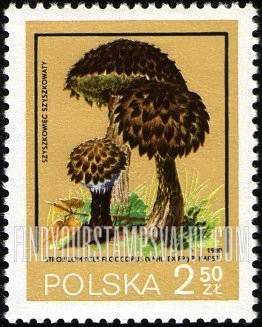 FindYourStampsValue: Strobilomyces floccopus
