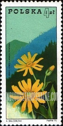 FindYourStampsValue: Arnica and Beskids Mountains, vertical