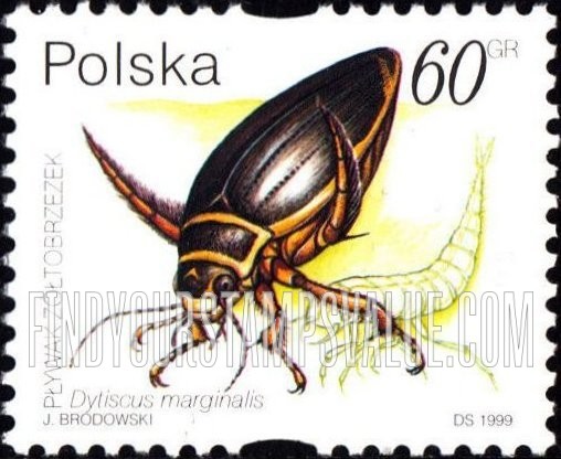 FindYourStampsValue: Insects: Dytiscus marginalis