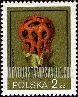 FindYourStampsValue: Clathrus ruber