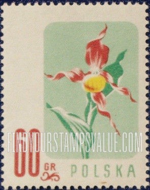 FindYourStampsValue: Lady’s-slipper