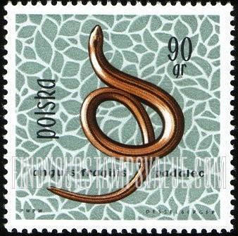 FindYourStampsValue: Slow worm