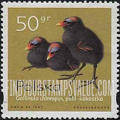 FindYourStampsValue: Chick Type of 1995: Gallinula chloropus
