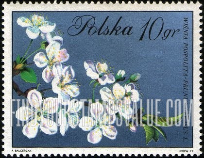 FindYourStampsValue: Blossoms: Cherry Blossoms