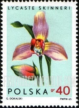 FindYourStampsValue: Orchids: Lycaste skinneri