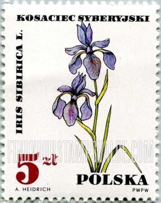 FindYourStampsValue: Medicinal Plants: Iris sibirica