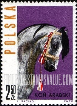 FindYourStampsValue: Horses: Head of Arab horse, facing right
