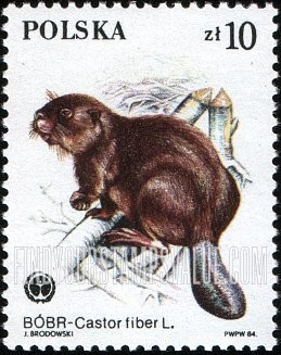 FindYourStampsValue: Protected Animals: Castor fiber, vertical