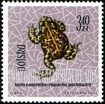 FindYourStampsValue: Natterjack