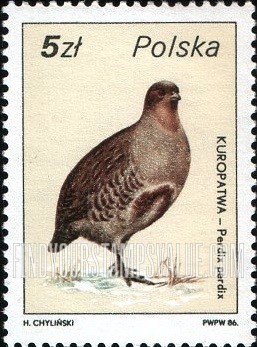 FindYourStampsValue: Wildlife: Perdix perdix, vertical