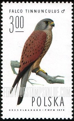FindYourStampsValue: Kestrel