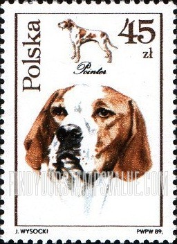 FindYourStampsValue: Dogs: Pointer