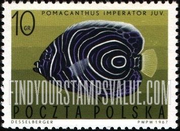 FindYourStampsValue: Tropical fish: Imperial angelfish