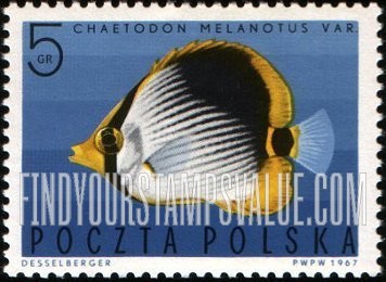 FindYourStampsValue: Tropical fish: Striped Butterflyfish