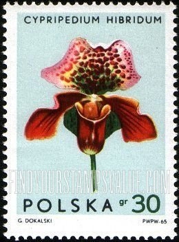 FindYourStampsValue: Orchids: Cypripedium hibridum