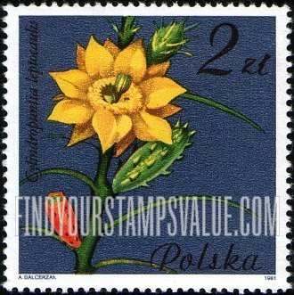 FindYourStampsValue: Flowering Succulent Plants: Cylindropuntia leptocaulis