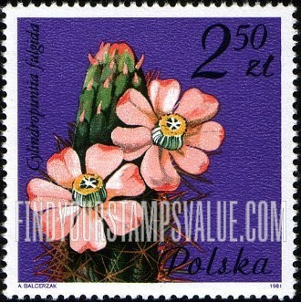 FindYourStampsValue: Flowering Succulent Plants: Cylindroppuntia fulgida