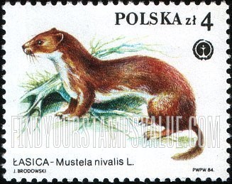 FindYourStampsValue: Protected Animals: Mustela nivalis
