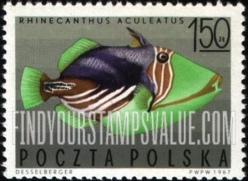 FindYourStampsValue: Tropical fish: Striped triggerfish