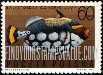 FindYourStampsValue: Tropical fish: Spotted triggerfish