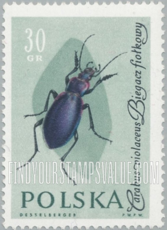 FindYourStampsValue: Insects: Violet runner