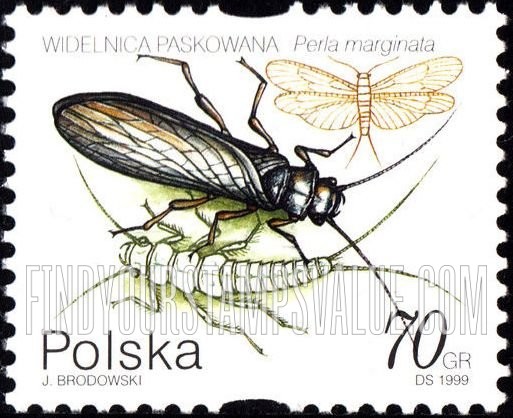 FindYourStampsValue: Insects: Perla marginata