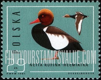 FindYourStampsValue: Wild Ducks: Netta rufina