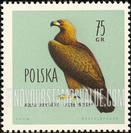 FindYourStampsValue: Birds: Golden eagle