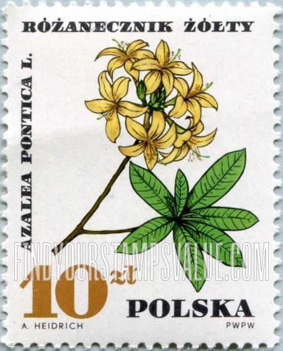 FindYourStampsValue: Medicinal Plants: Azalea pontica