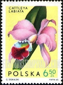 FindYourStampsValue: Orchids: Cattleya labiata