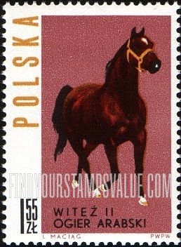 FindYourStampsValue: Horses: Arab stallion “Witez II”