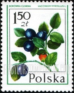 FindYourStampsValue: Forest Fruits: Bilberry
