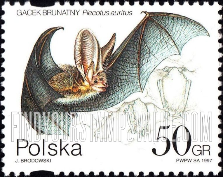 FindYourStampsValue: Bats: Plecotus auritus